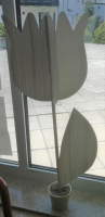 tulipani9 tulipani9